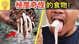 世界上極度奇怪的10種食物！你敢吃哪一個？