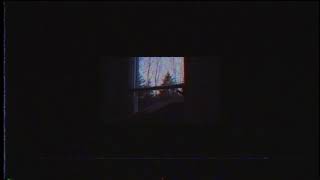 Ringtail - Waking up