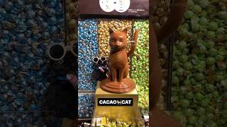 『CACAO CAT』枚方Tsiteにあるチョコレート専門店。猫好きの私にはたまらないお店。北海道産の30種類ほどのチョコを選ぶのがワクワク楽しい😆#カカオキャット#チョコレート#枚方#ジェラート