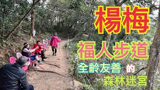 2024/12 全齡友善的森林迷宮-福人步道