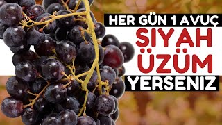 Siyah Üzüm Vücudunuza Bunları Yapıyor | Siyah Üzümün Faydaları Nelerdir?