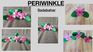 How to make flower “PERIWINKLE” ( Sadabahar).