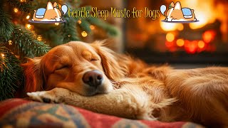 12 Hours of Lullabies for Dogs | Reduces Anxiety When Left Alone