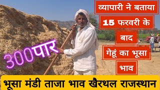 15 फरवरी के बाद होगा गेहूं के भूसे का बड़ा बदलाव||bhusa Mandi bhav taaja report Rajasthan