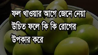 কুল ফল খাওয়ার আগে জানা উচিত কুল আমাদের স্বাস্থ্যের কি কি উপকার করে