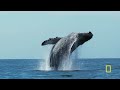 around the world in 10 minutes relaxing nature footage oceanxplorers