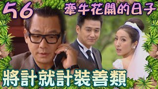 董事長出手壞律師計畫 將計就計抱得美人歸【牽牛花開的日子】EP56 吳奇隆 楊謹華 竇智孔 梁又琳 李之勤 李佳豫 汪政緯 范鴻軒 檢場 沈孟生 高振鵬@ctvdrama_classic