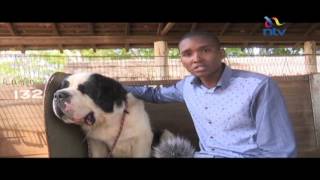 Dog training standards on the rise in Kenya