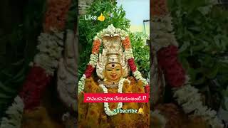 పాముకు పూజ చేయడం అంటే..!?#trending #telugu#chagantikoteswararao#shorts#ytshorts