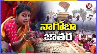 నాగోబా జాతర : Teenmaar Chandravva Special Report On Nagoba Jatara | V6 News