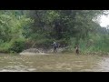 fishing in river kashmir || we got bet throat fish 🐠😮🔥. || big fish in net 😮🔥