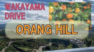 和歌山県　有田川町　みかんの丘【モトブログ】 Wakayama Prefecture, Aridagawa Town, Orang Hill 【Motoblog】