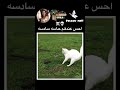 ممكن👽🖐🏻 cover lyrics music pop song اكسبلور funny ترند تيك_توك aesthetic