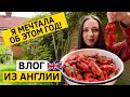 Влог из Англии. РАДОСТИ И РАЗОЧАРОВАНИЯ. Сколько стоят раки в Англии ?