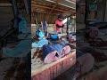 Attractive fish market in sri lanka 🇱🇰 The Fillet Artist is live!