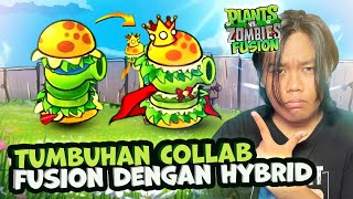 UPDATE FUSION COLLAB SAMA HYBRID? Bocoran Update Plants Vs Zombies Fusion