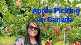 Apple Picking  in Canada 🇨🇦 2024