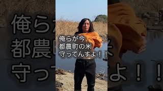 都農町の稲作は俺らが守る！？