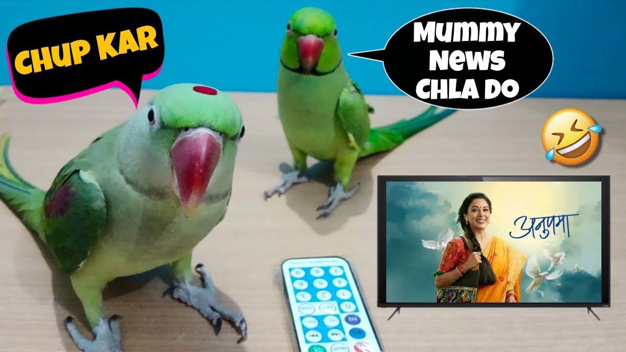 Me Mom And Tv Serials ёяшв Youtube