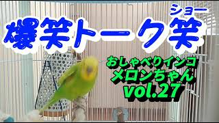 【セキセイインコ】爆笑トークショー おしゃべりインコメロンちゃんvol.27 セキセイインコおしゃべり