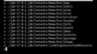Java Tutorial: How to install JDK on OSX
