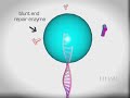 DOE JGI Whole Genome Shotgun Sequencing, part 1