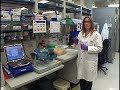DOE JGI Whole Genome Shotgun Sequencing, part 1