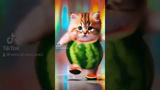 🍉🐈笑笑笑 #ペットダンス #cat #funny #animaldance #ai #catlover #shorts