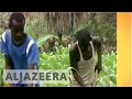 Inside Story - How can food security in Africa be achieved?
