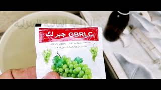 تطبيق الرش ب (الجبريلين) او حامض (الجبريليك اسيد) وهو من منظمات النمو .