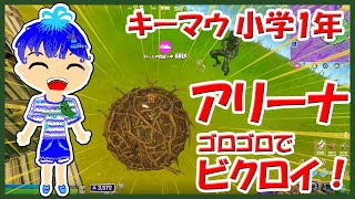 小学1年生のアリーナソロ　シーズン4でビクロイ【フォートナイト/Fortnite】