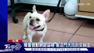 法鬥犬深夜馬路亂竄 掃晶片電話竟\