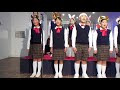 岡山県岡山市【ガーデンイルミネーションＩＮ西大寺２０１７】Ｋ♪くすのきコーラス②