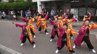 2023.常陸国YOSAKOI祭り(駅前通り会場①)朝霞鳴子一族め組