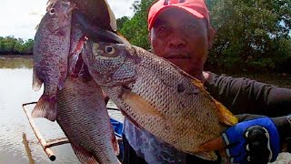 FEW TIPS ON HOW TO CATCH BIG MANGROVE JACK FISH 🎣🎣🎣