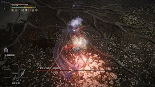 ELDEN RING Malenia Sword of St Trina/瑪蓮妮亞 托莉娜劍/マレニア トリーナの剣/LV1 No Damage/V1.08