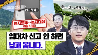 농지에 대한 깐깐한 실태조사와 과태료 부과 시작, 임대차 적발시 세금 추징도 가능!....바뀌는 농지 관리 제도 심층 해설