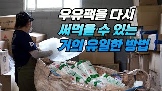 우유팩을 다시 써먹을 수 있는 거의 유일한 방법