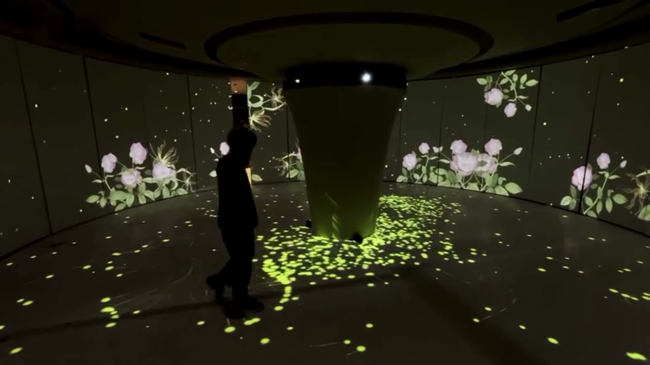 3d Holograma Holographic Virtual Display Pepperscrim For Stage Show