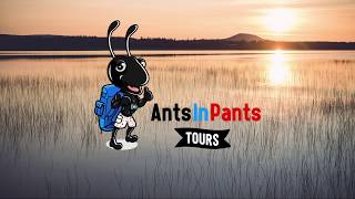 Aktivurlaub in Schweden / Lappland kurz - AntsInPants Tours