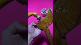 Alhamdulillah KERIS BUGIS pesanan dari cucu sultan Buton ke-38 siap kirim #bone#keris #shortvideo