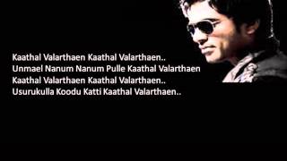 Kaadhal Valarthaen Karaoke