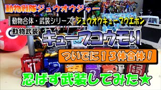 ［動物戦隊ジュウオウジャー］ 動物武装キューブコウモリと13体合体ワイルドトウサイキング