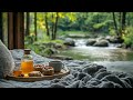 lake side jazz vibes relaxing morning jazz music for studying working u0026 unwinding