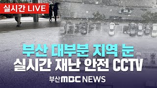 [LIVE🔴] 이시각 눈 내리는 부산 재난안전 CCTV