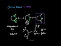 the chelate effect makes complexes more stable