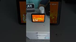 Alexa Not Connected To Internet