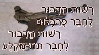 כיצד הוגים \