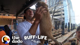 Come Check Out this Extreme Dog Dad | Ruff Life With Lee Asher (Series Trailer)