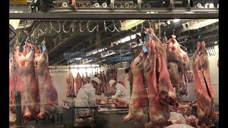 wholesale meat market in london